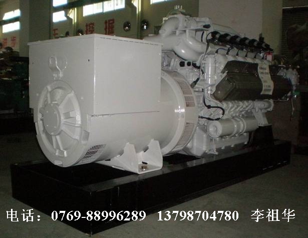 德國(guó)曼沼氣發(fā)電機(jī)組