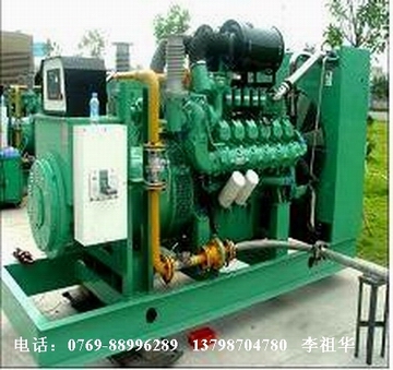 大宇天然氣發(fā)電機組