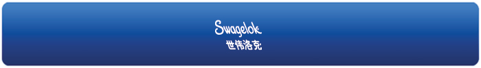 世偉洛克(上海)流體系統(tǒng)科技有限公司