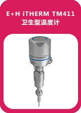 E+H iTHERM TM411衛(wèi)生型溫度計